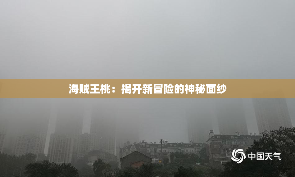 海贼王桃：揭开新冒险的神秘面纱