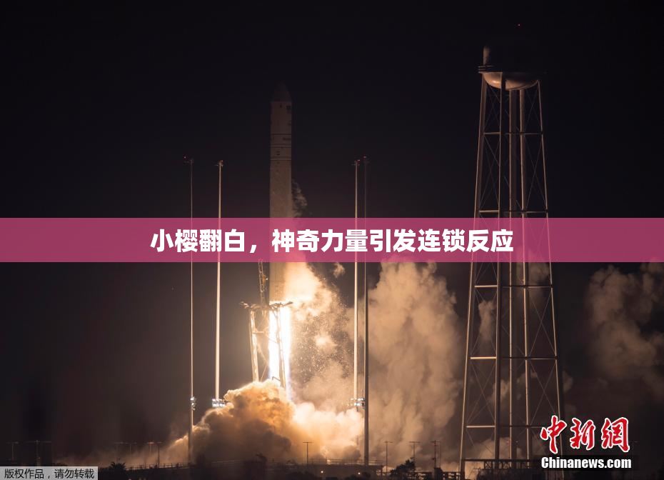 小樱翻白，神奇力量引发连锁反应