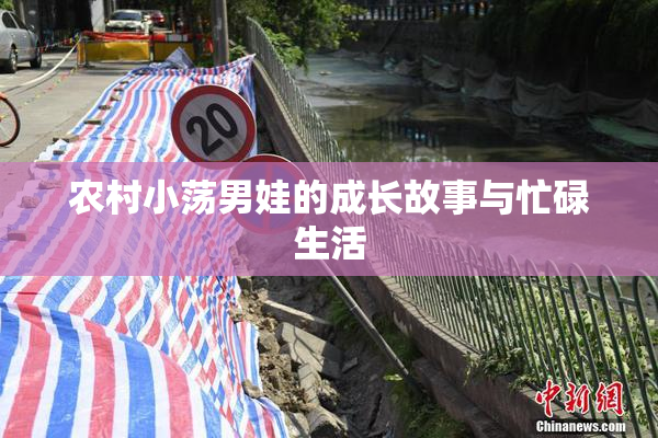 农村小荡男娃的成长故事与忙碌生活