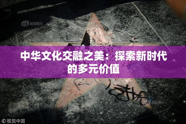中华文化交融之美：探索新时代的多元价值