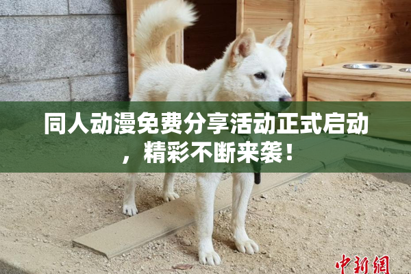 同人动漫免费分享活动正式启动，精彩不断来袭！