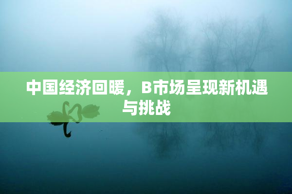 中国经济回暖，B市场呈现新机遇与挑战