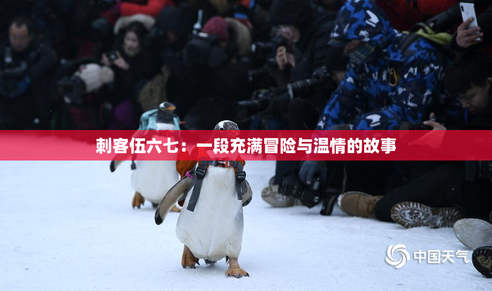 刺客伍六七：一段充满冒险与温情的故事