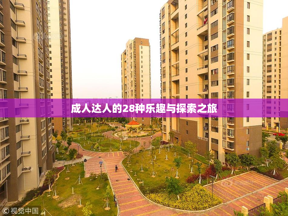 成人达人的28种乐趣与探索之旅