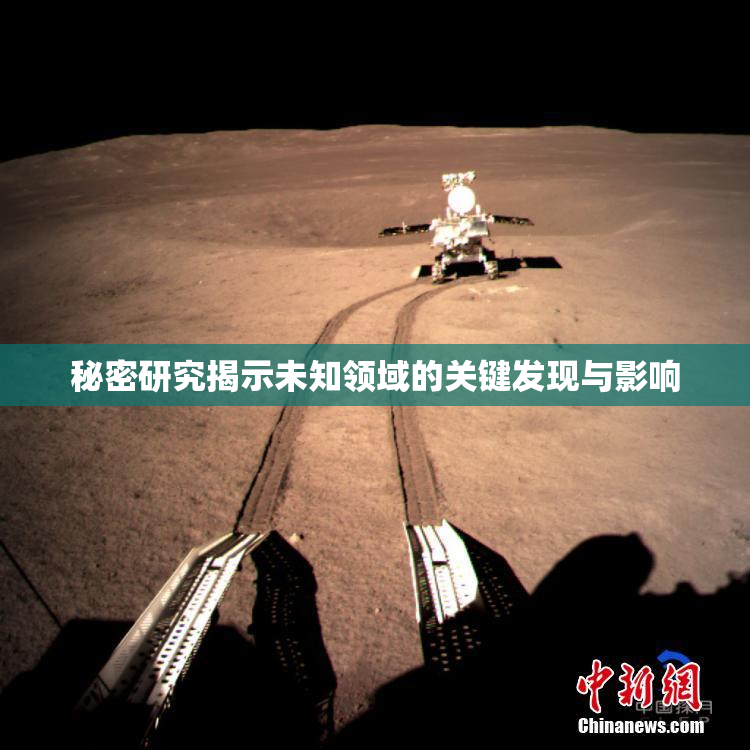 秘密研究揭示未知领域的关键发现与影响