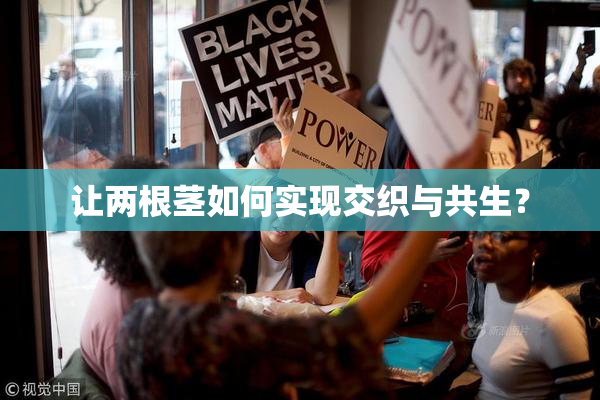 让两根茎如何实现交织与共生？