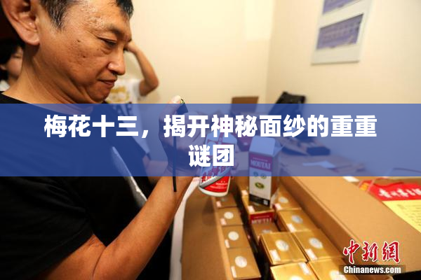 梅花十三，揭开神秘面纱的重重谜团
