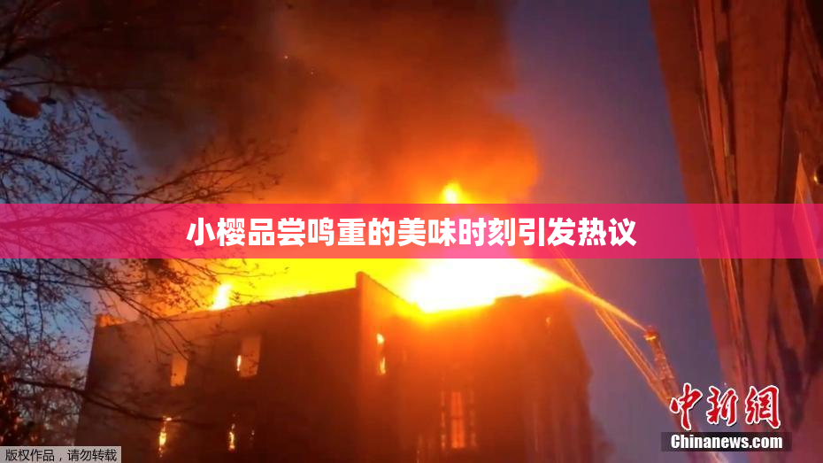 小樱品尝鸣重的美味时刻引发热议