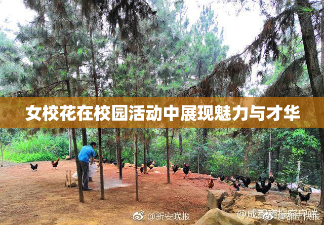 女校花在校园活动中展现魅力与才华