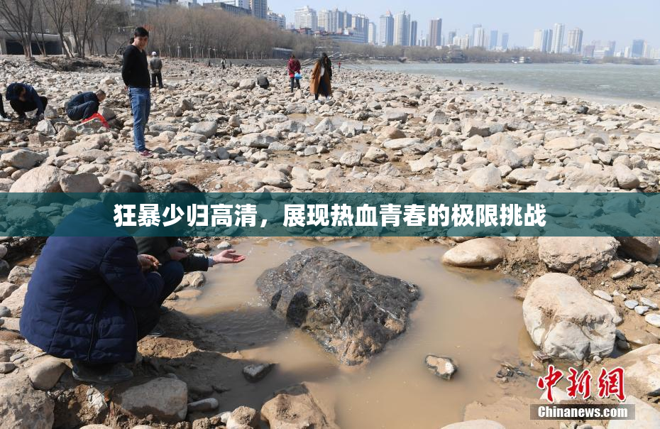 狂暴少归高清，展现热血青春的极限挑战