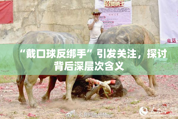 “戴口球反绑手”引发关注，探讨背后深层次含义