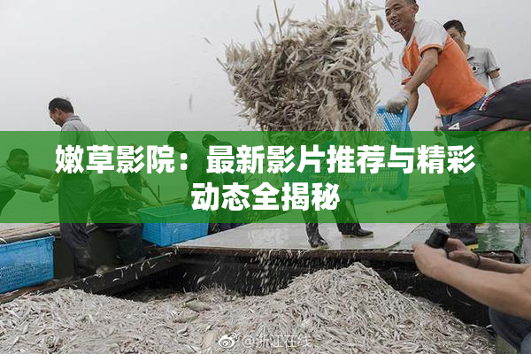 嫩草影院：最新影片推荐与精彩动态全揭秘