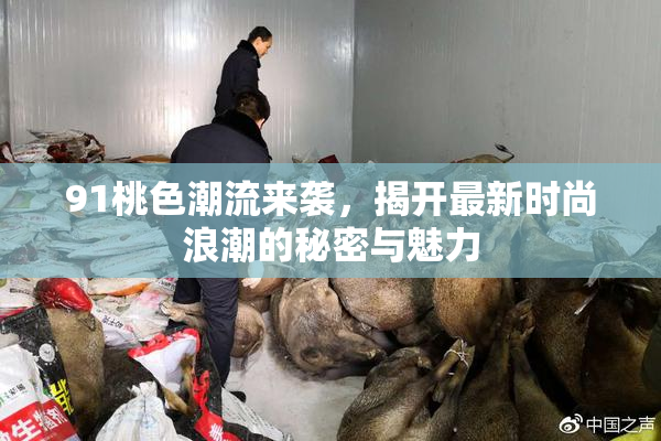 91桃色潮流来袭，揭开最新时尚浪潮的秘密与魅力