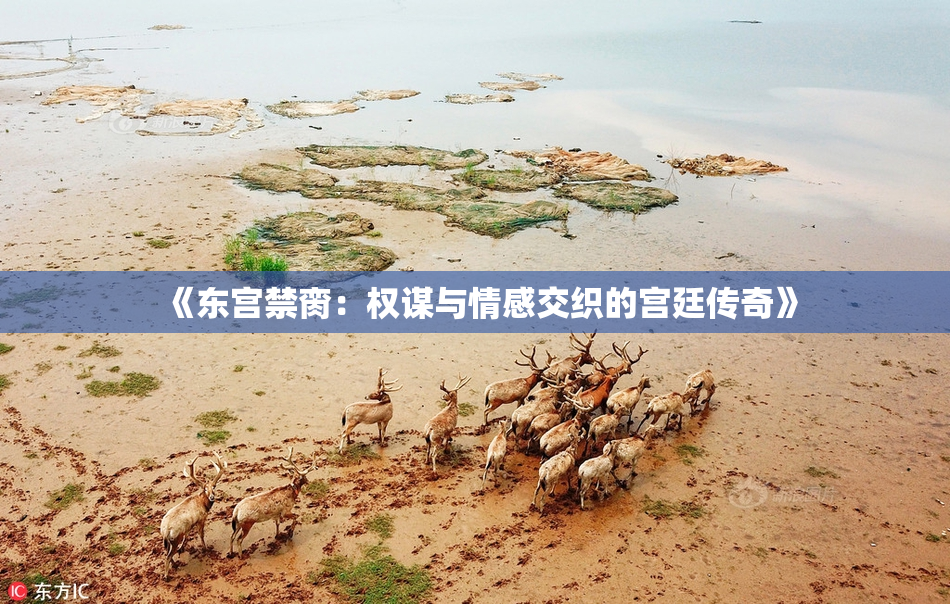 《东宫禁脔：权谋与情感交织的宫廷传奇》