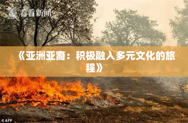 《亚洲亚裔：积极融入多元文化的旅程》