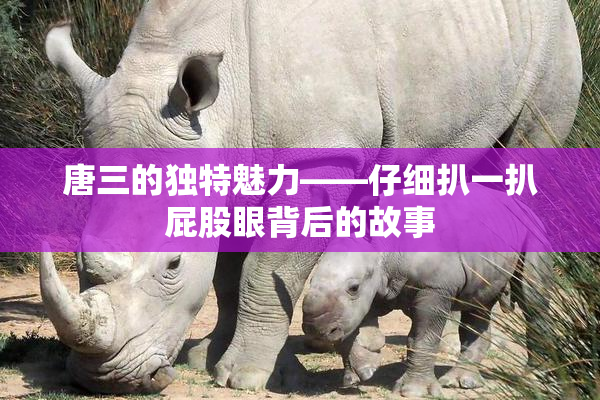 唐三的独特魅力——仔细扒一扒屁股眼背后的故事