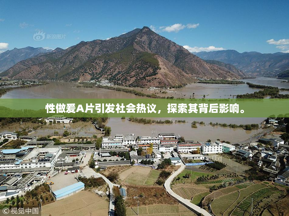 性做爰A片引发社会热议，探索其背后影响。