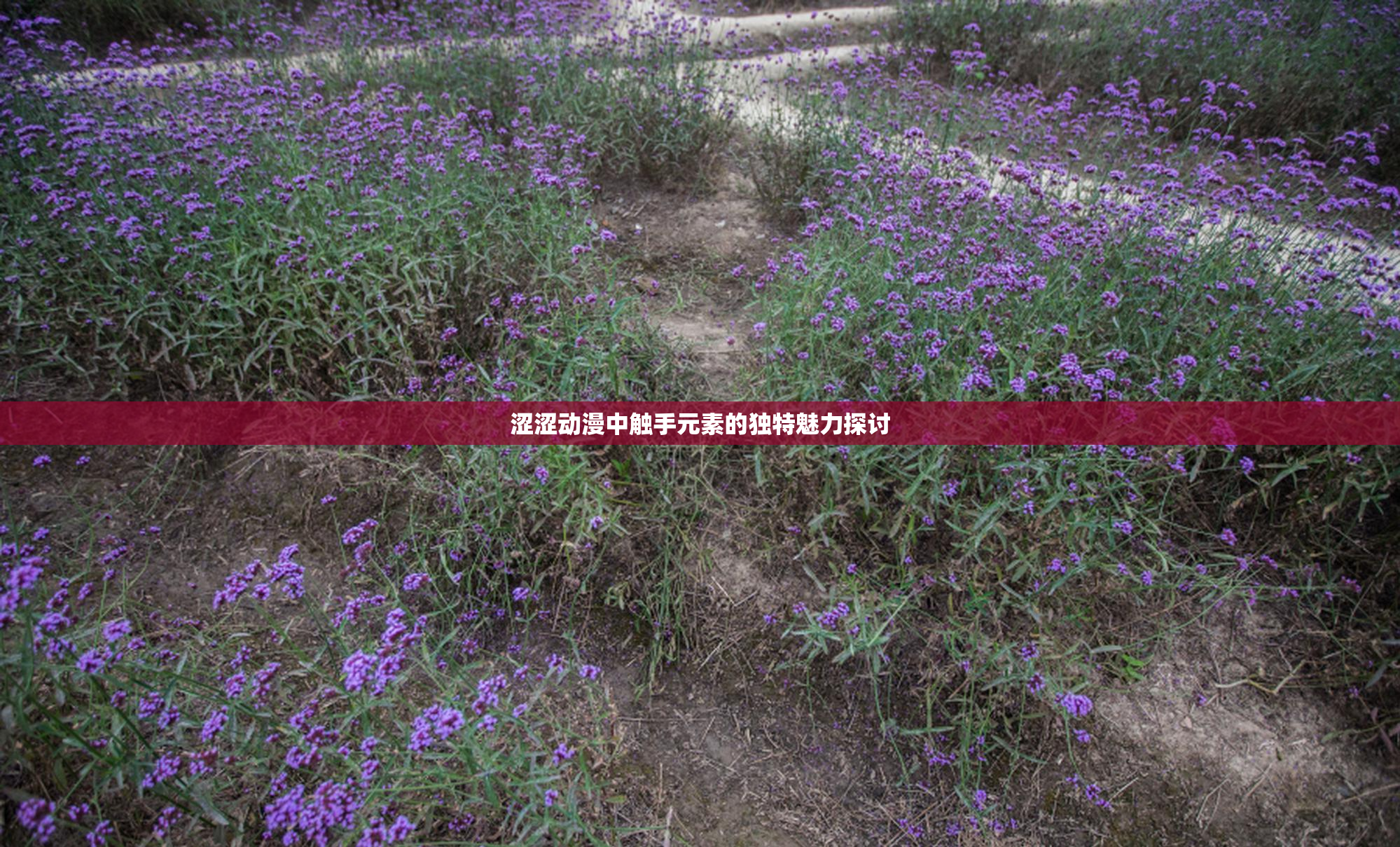 涩涩动漫中触手元素的独特魅力探讨
