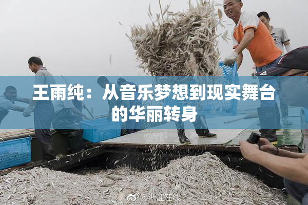 王雨纯：从音乐梦想到现实舞台的华丽转身