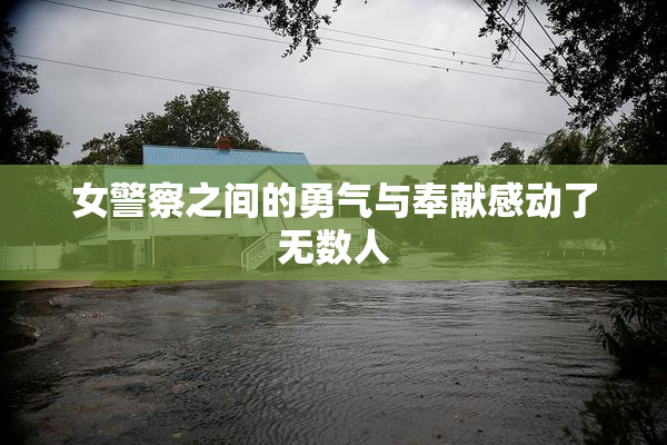 女警察之间的勇气与奉献感动了无数人