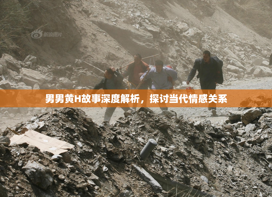 男男黄H故事深度解析，探讨当代情感关系