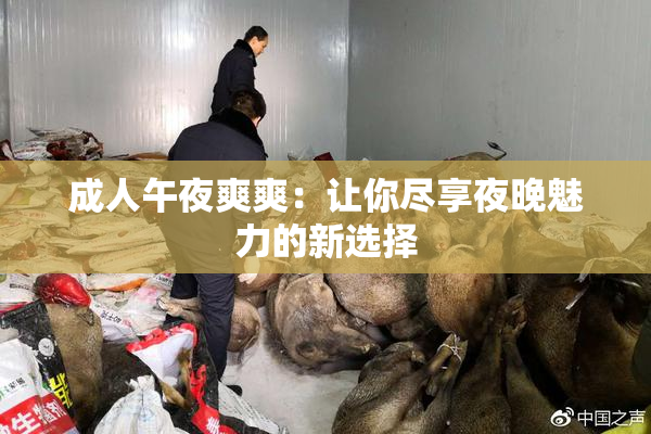 成人午夜爽爽：让你尽享夜晚魅力的新选择