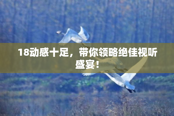 18动感十足，带你领略绝佳视听盛宴！