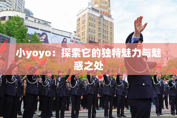 小yoyo：探索它的独特魅力与魅惑之处