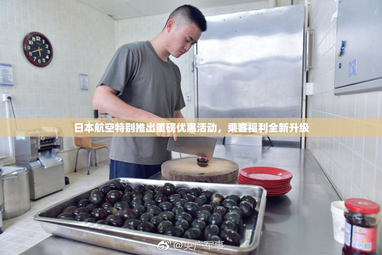 日本航空特别推出重磅优惠活动，乘客福利全新升级