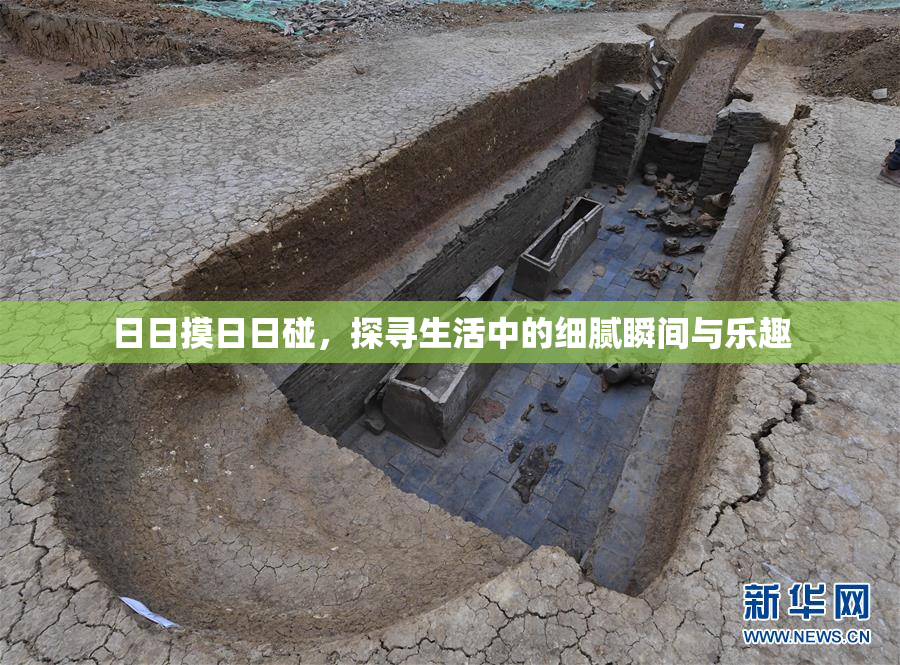 日日摸日日碰，探寻生活中的细腻瞬间与乐趣