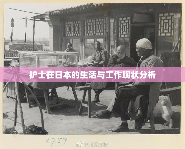 护士在日本的生活与工作现状分析