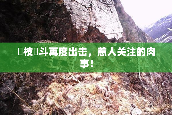 狛枝凪斗再度出击，惹人关注的肉事！
