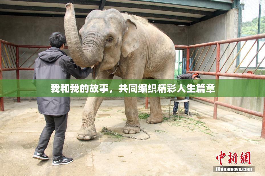 我和我的故事，共同编织精彩人生篇章