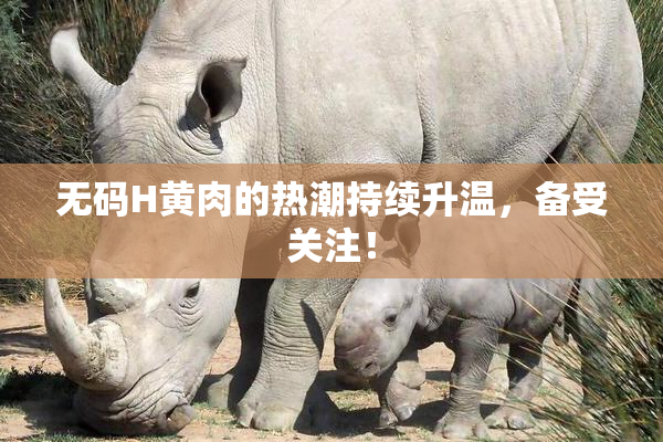 无码H黄肉的热潮持续升温，备受关注！