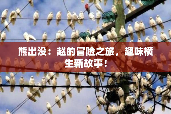 熊出没：赵的冒险之旅，趣味横生新故事！