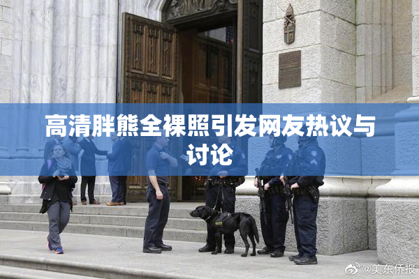 高清胖熊全裸照引发网友热议与讨论