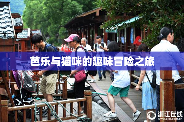 芭乐与猫咪的趣味冒险之旅