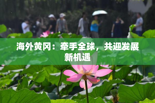 海外黄冈：牵手全球，共迎发展新机遇