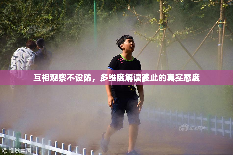 互相观察不设防，多维度解读彼此的真实态度