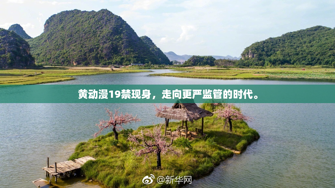 黄动漫19禁现身，走向更严监管的时代。