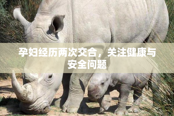 孕妇经历两次交合，关注健康与安全问题