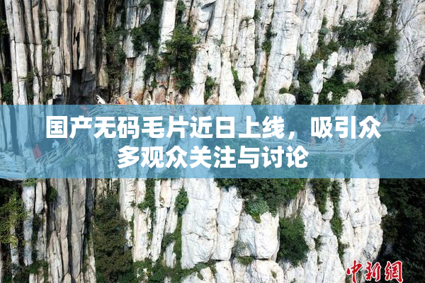 国产无码毛片近日上线，吸引众多观众关注与讨论