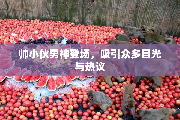 帅小伙男神登场，吸引众多目光与热议