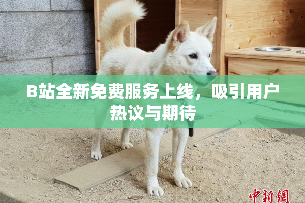 B站全新免费服务上线，吸引用户热议与期待
