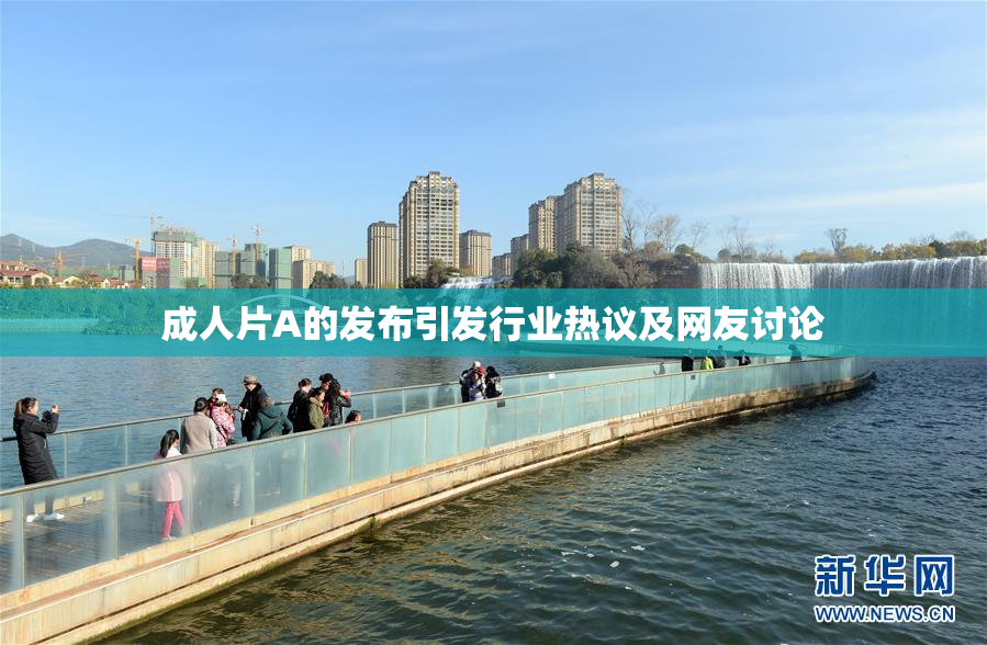 成人片A的发布引发行业热议及网友讨论