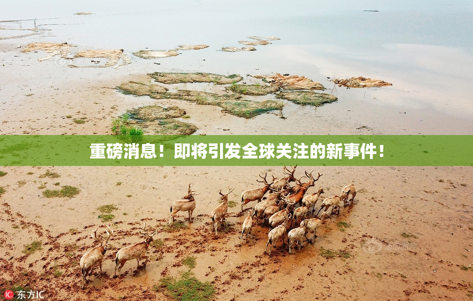 重磅消息！即将引发全球关注的新事件！