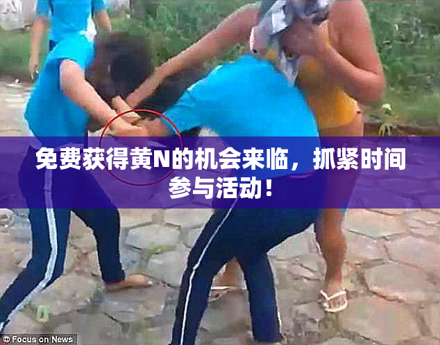 免费获得黄Ν的机会来临，抓紧时间参与活动！