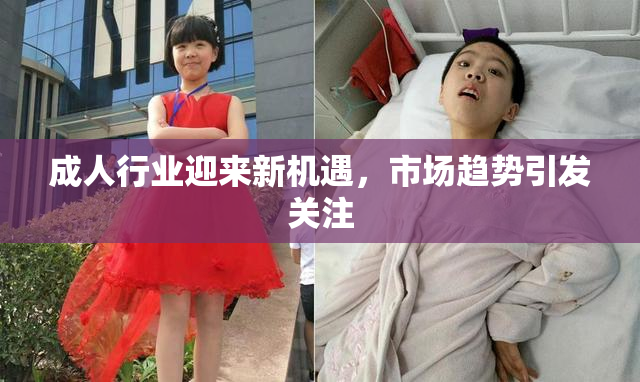 成人行业迎来新机遇，市场趋势引发关注