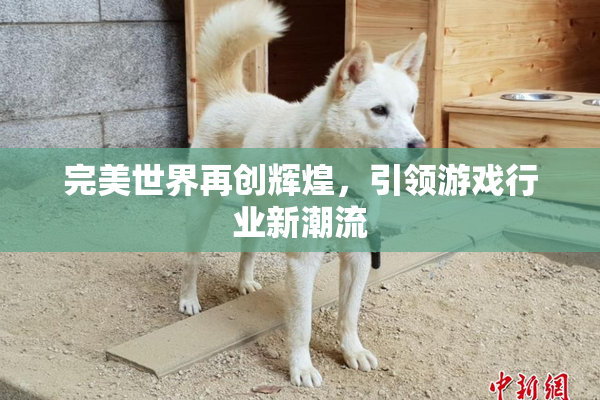 完美世界再创辉煌，引领游戏行业新潮流