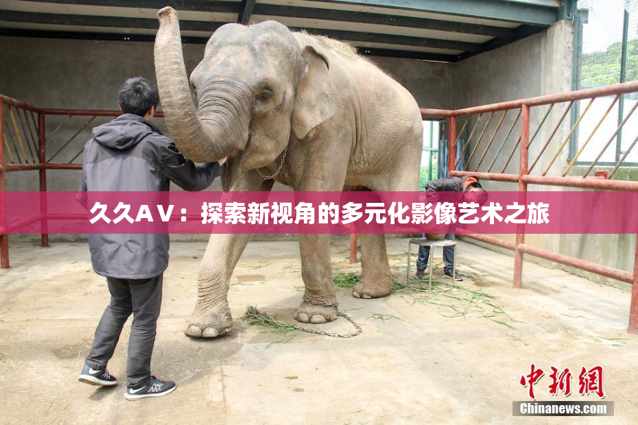 久久AⅤ：探索新视角的多元化影像艺术之旅